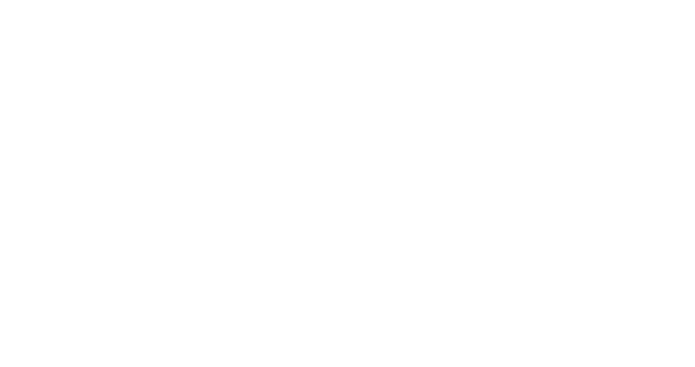 CRMM Logo